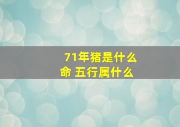 71年猪是什么命 五行属什么